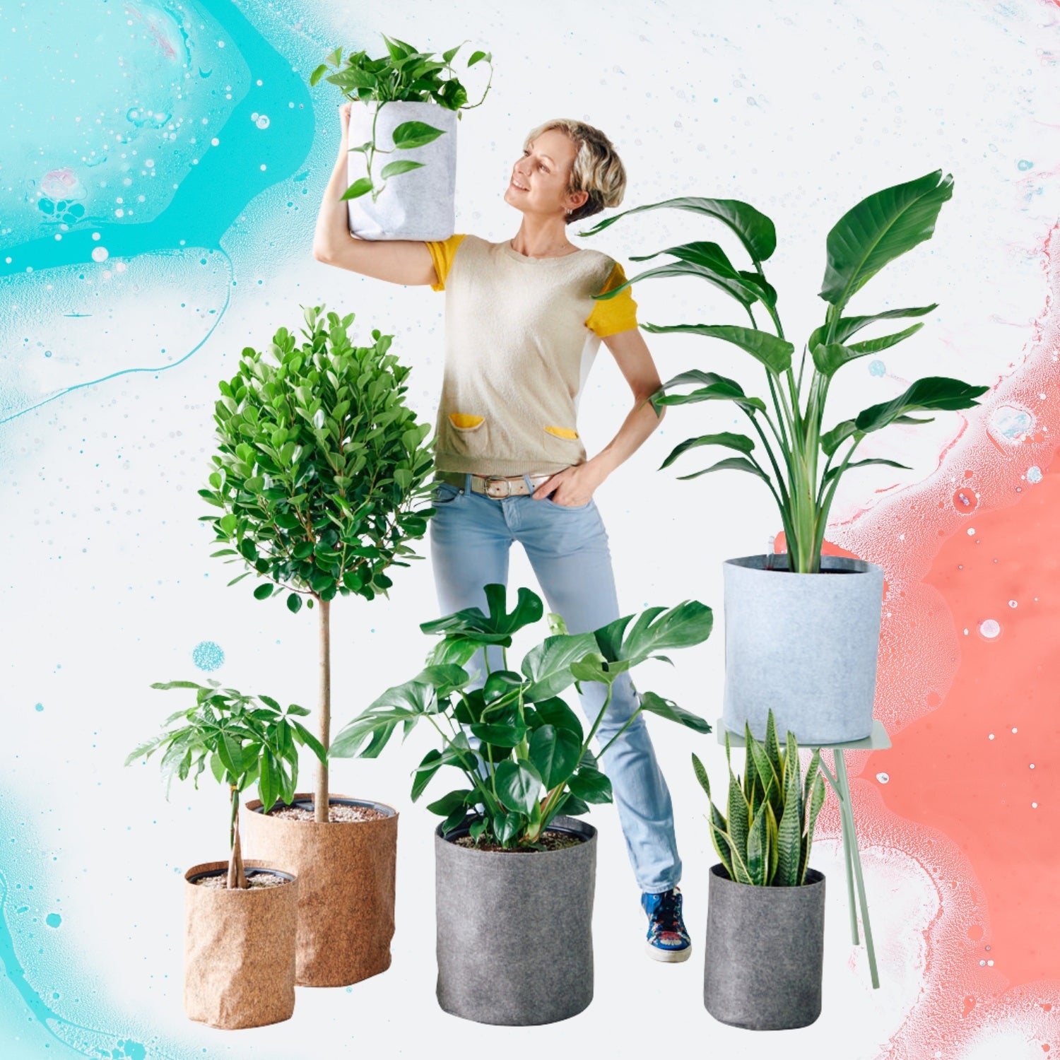 Office plant services - office plant delivery & office plant maintenance services - New York