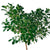Ficus Moclame Potted In Lechuza Cubico 40 Planter - White - My City Plants