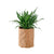 Aglaonema Cutlass Potted In Lechuza Trendcover 23 Planter- Dark Cork - My City Plants
