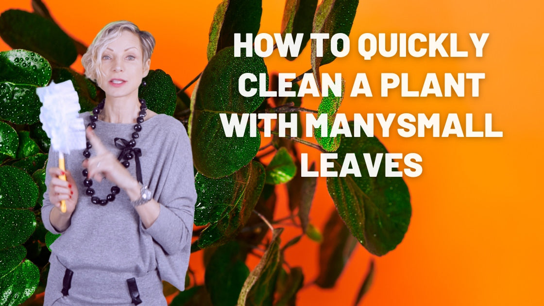 How to clean small leaves fast