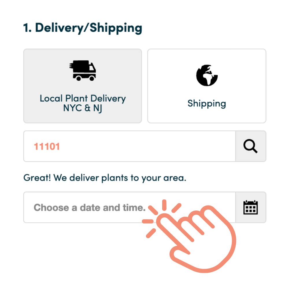 Indoor Plant Delivery New York - Buy Plants NYC - Plant Shop NYC