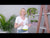 Dracaena Lisa Potted In Lechuza Cubico 30 Planter - Slate