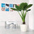 Lechuza Classico LS 50 (19.5" D) Planter - White - My City Plants