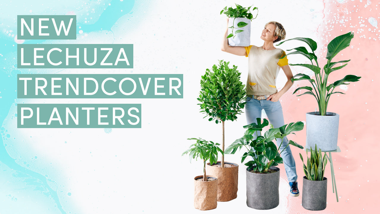 Lechuza Trendcover planters